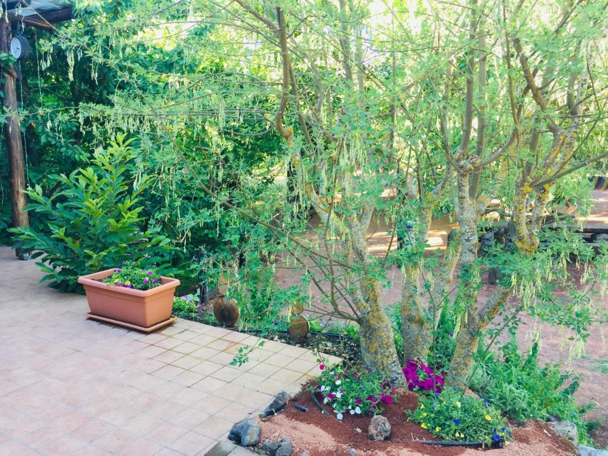 Casa Etna Villa Bronte Exterior photo